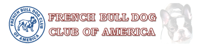 QQ截图20170616110050