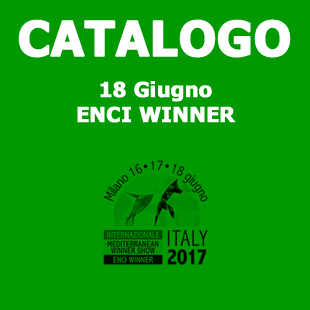 catalogo_graficadomenica