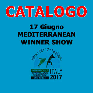 catalogo_graficasabato