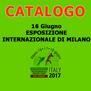 catalogo_graficavenerdi