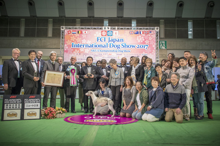 微信图片_20170615163725