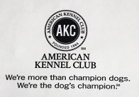 美国犬业协会1