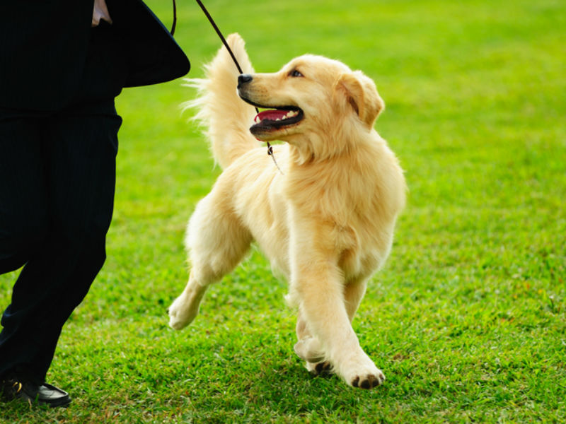 微信图片_20170719161227