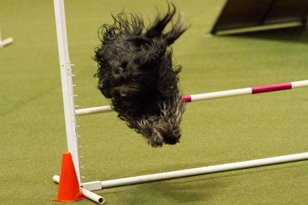 微信图片_20170719161239