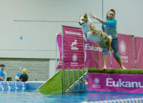 微信图片_20170719161256