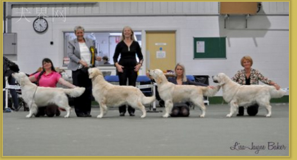 微信图片_20170728143728