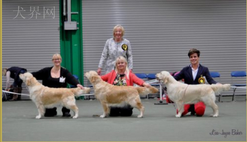 微信图片_20170728143744