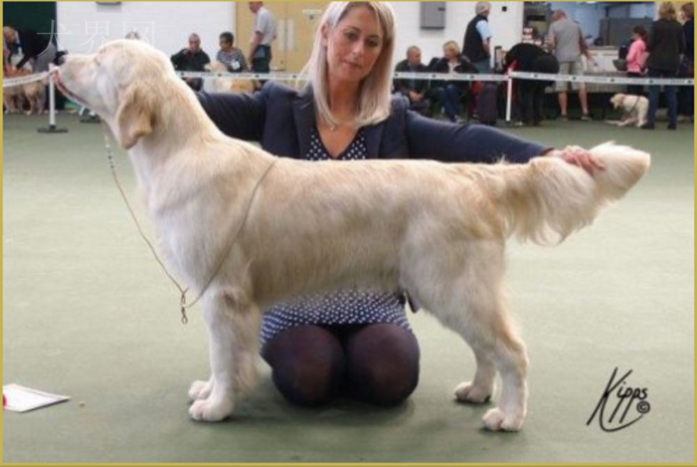 微信图片_20170728143747