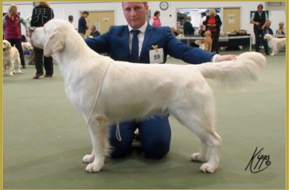 微信图片_20170728143749