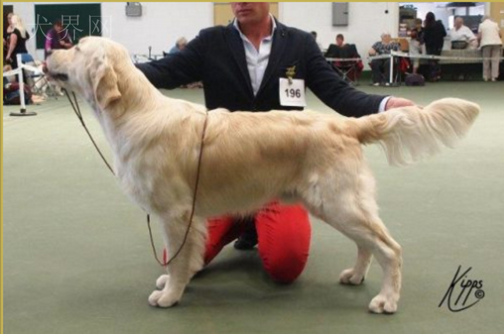 微信图片_20170728143751