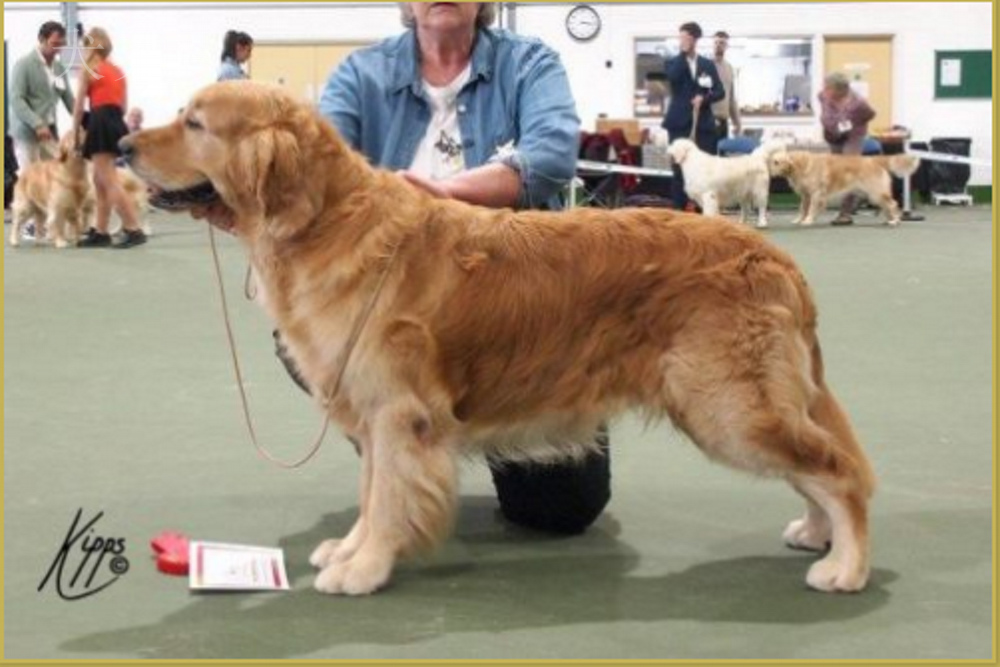 微信图片_20170728143756