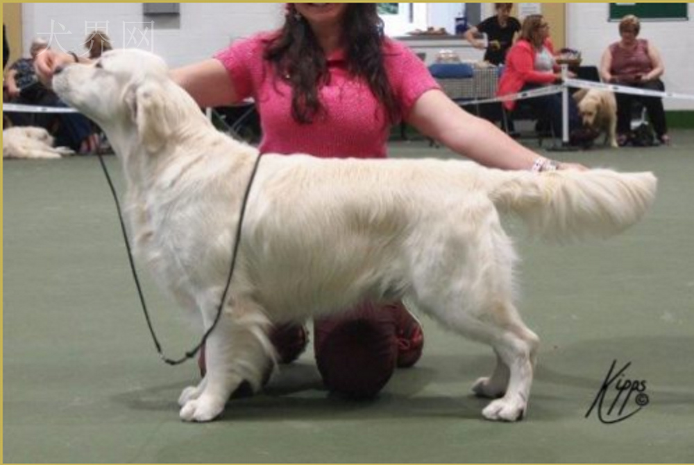 微信图片_20170728143757