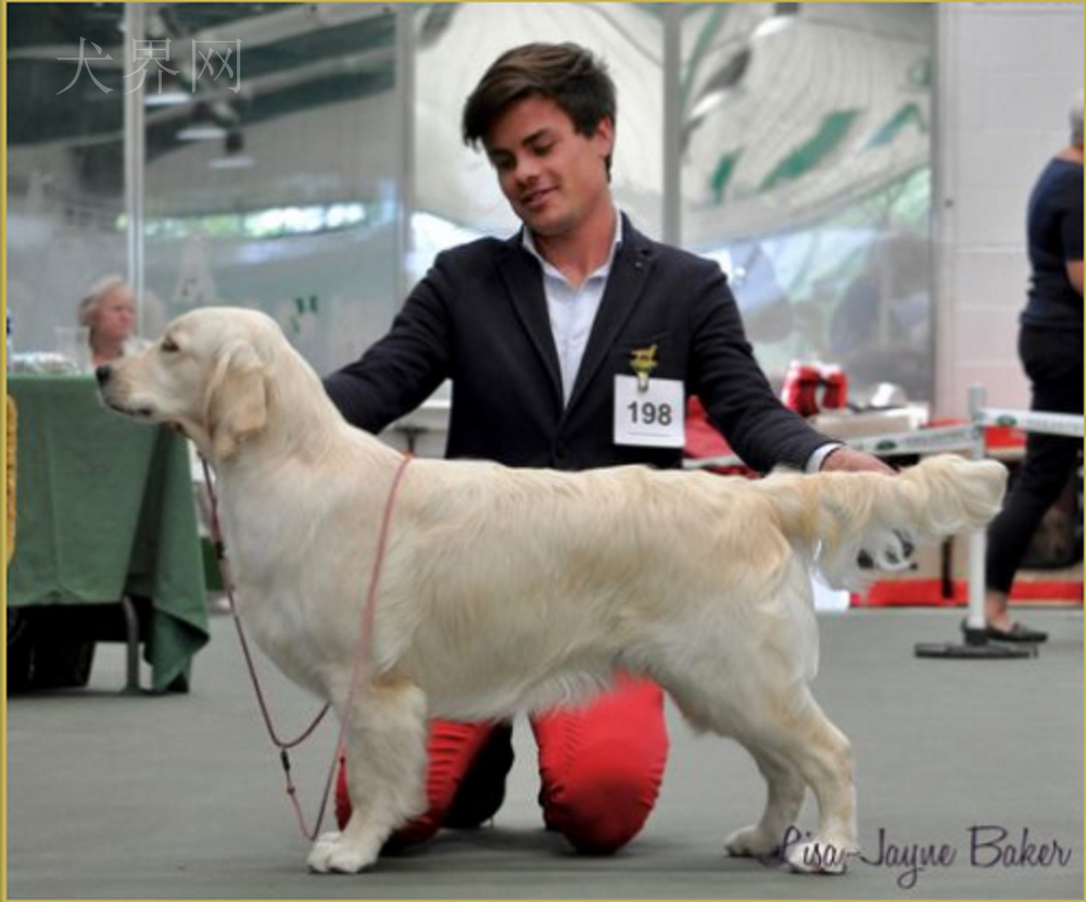 微信图片_20170728143800