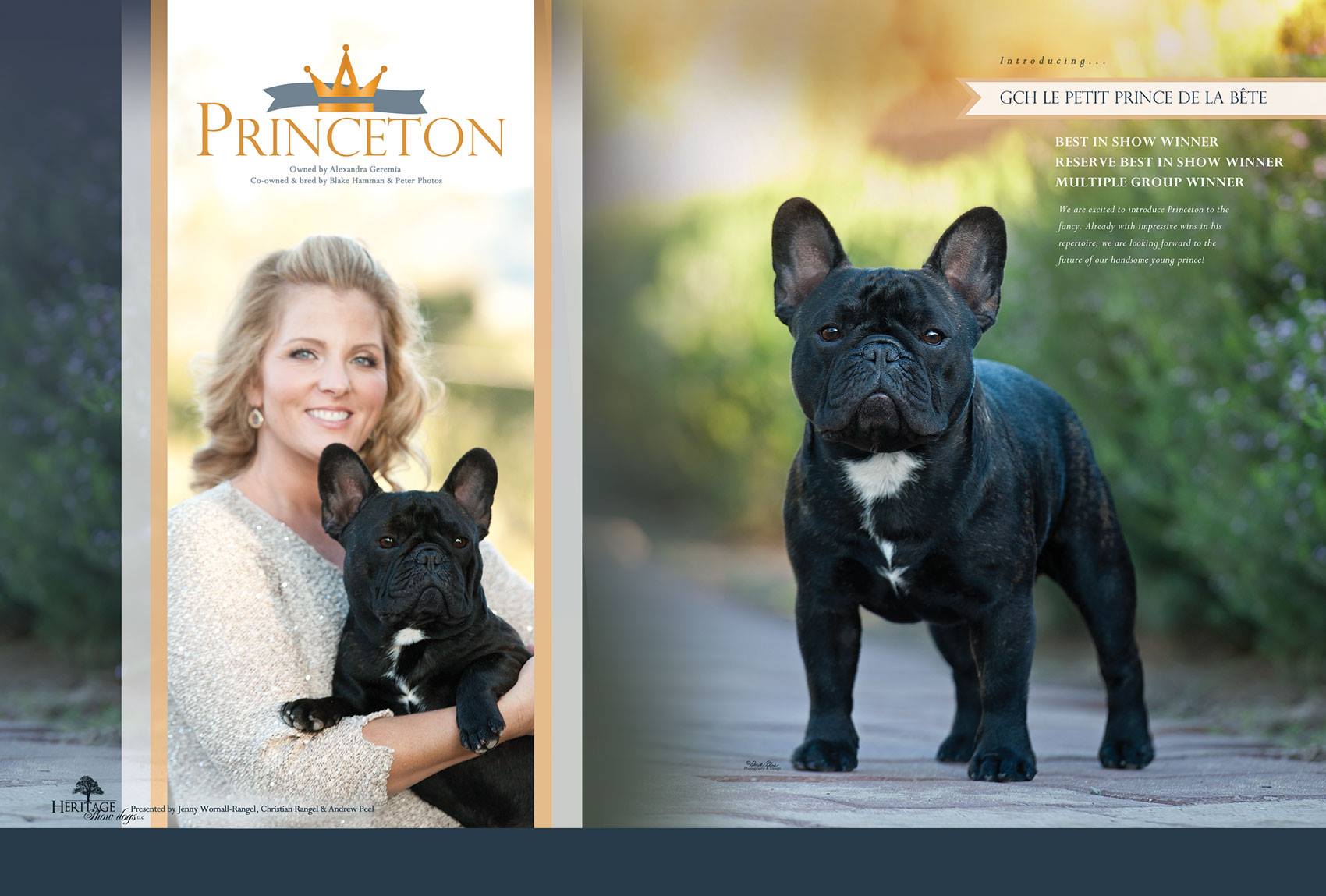 15540948_2181870262037134_2078977648033419987_o