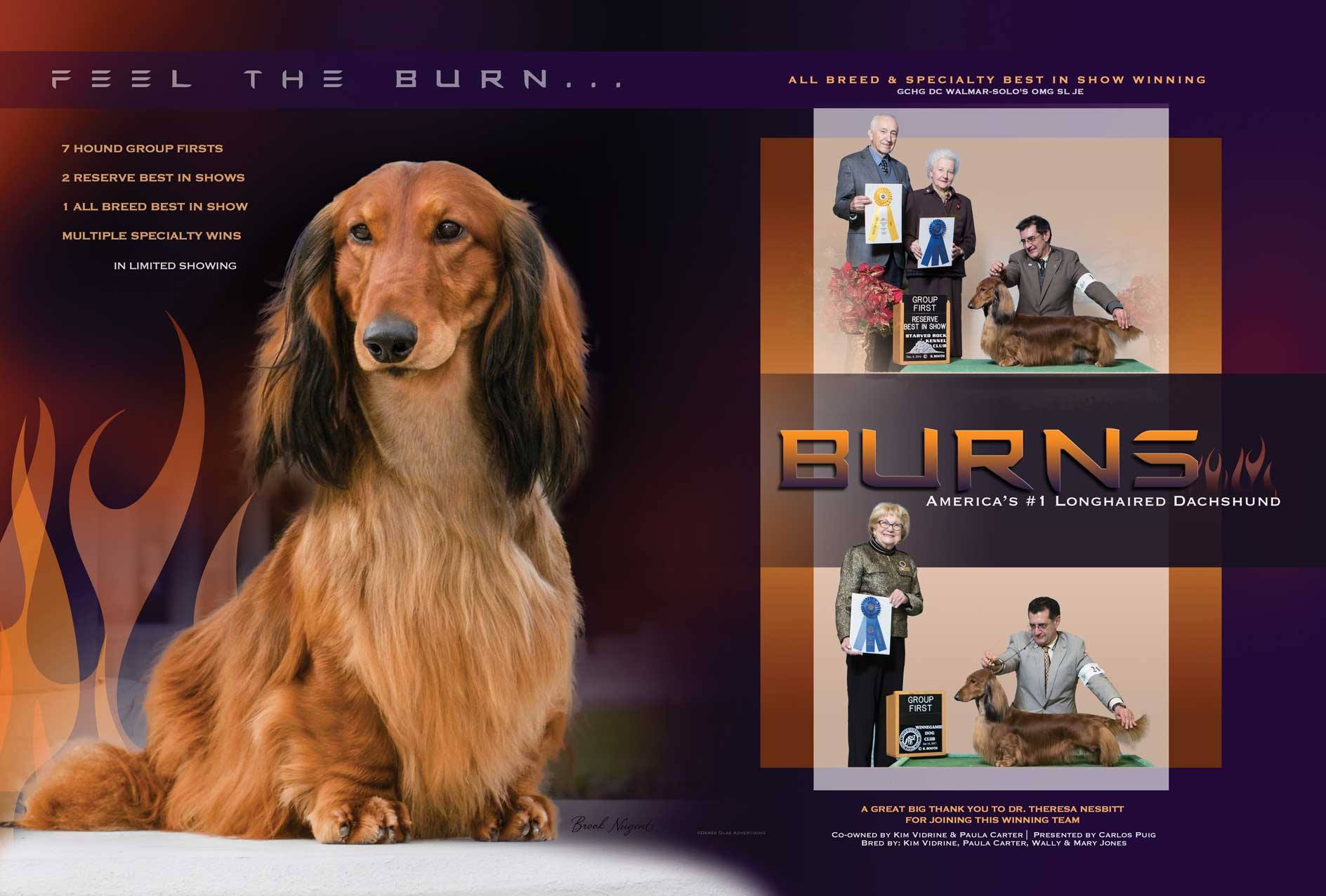 17239753_2240071522883674_3097828056135411219_o