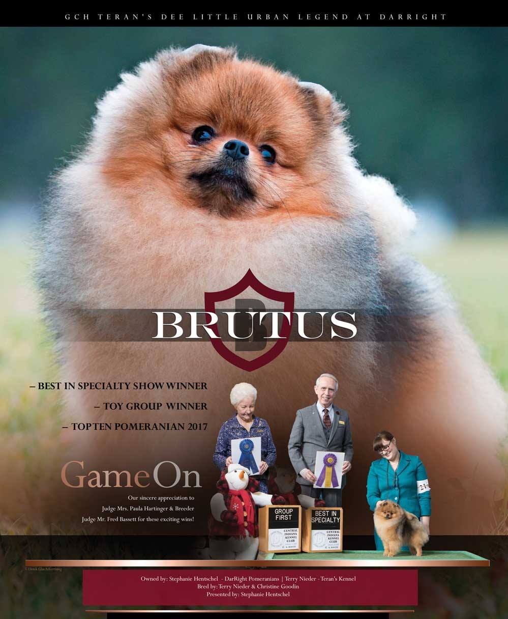 17358902_2244154019142091_6740154472360415000_o