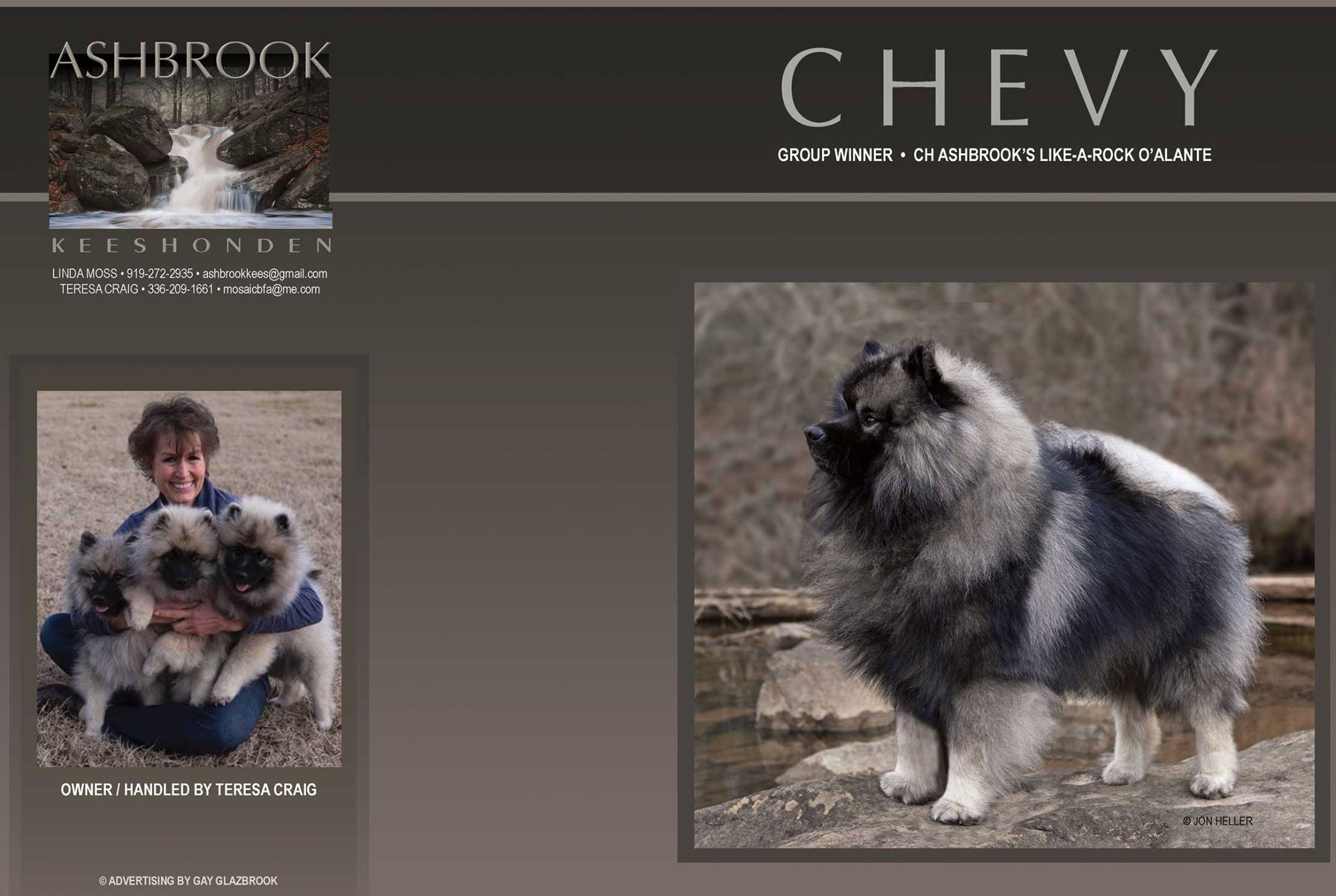 17966123_2265887940302032_952324086144118118_o