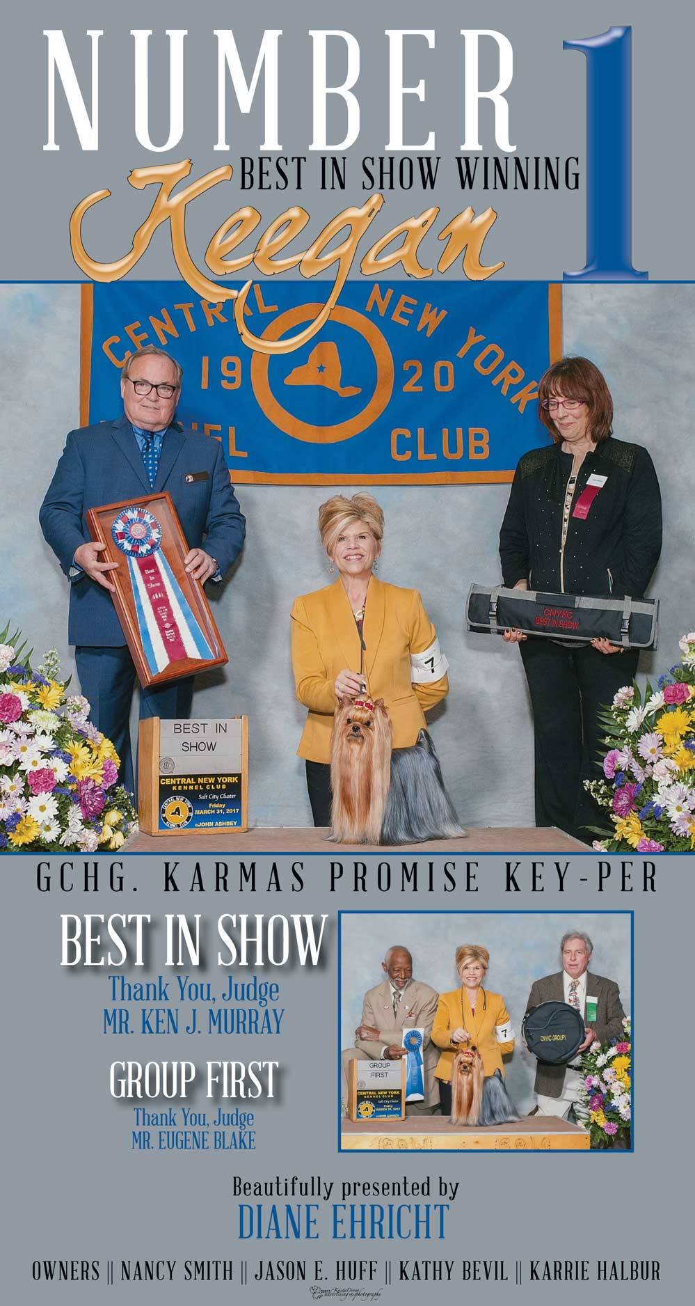 18121927_2273481819542644_1825541217890344984_o