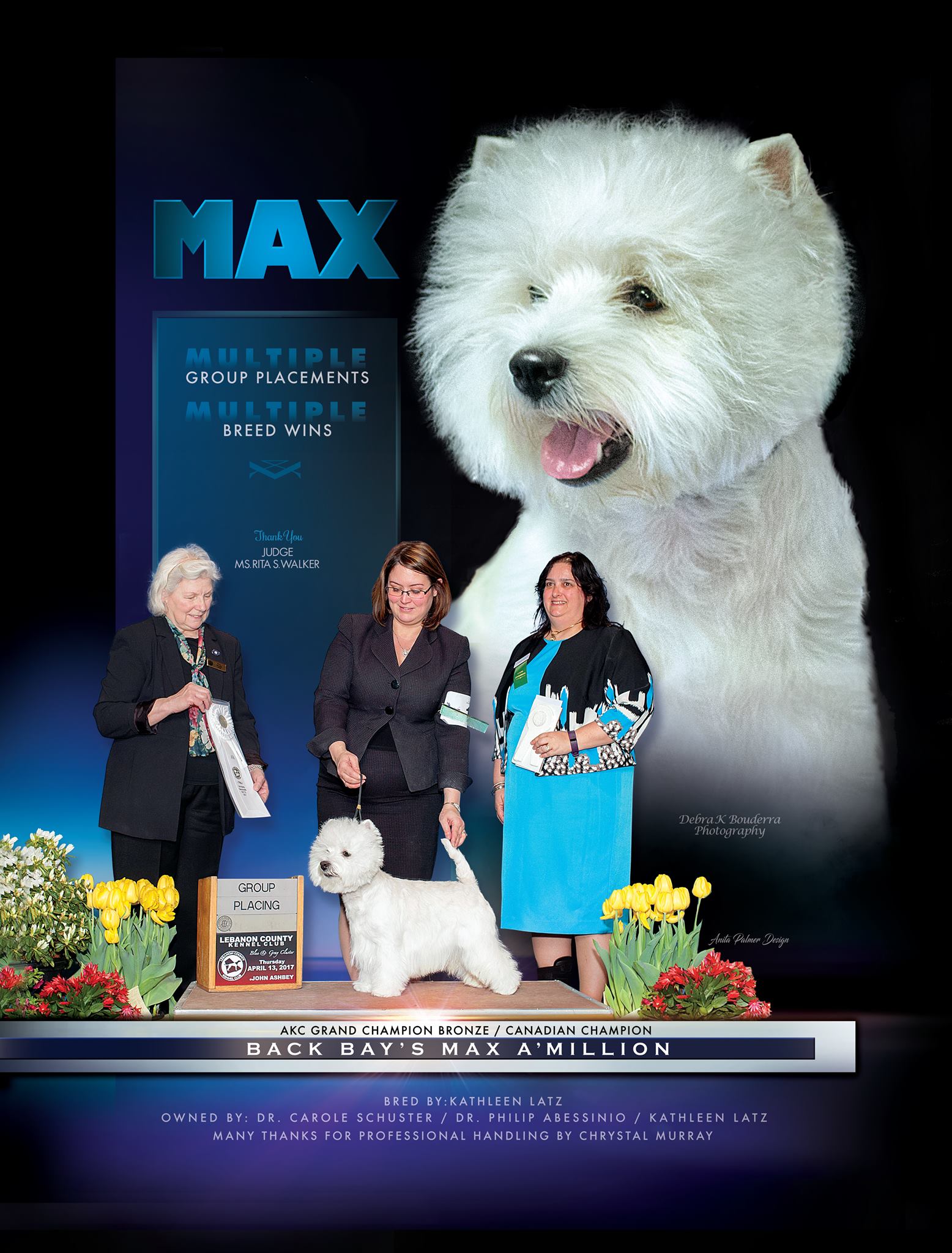 18238861_2280994118791414_1217262796760729375_o