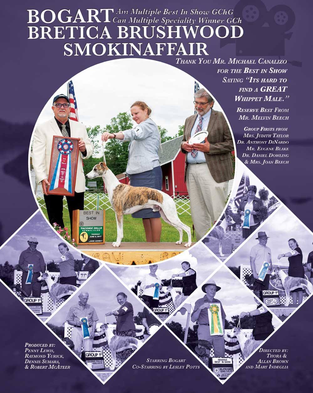 19983960_2329600563930769_8442348005342519158_o