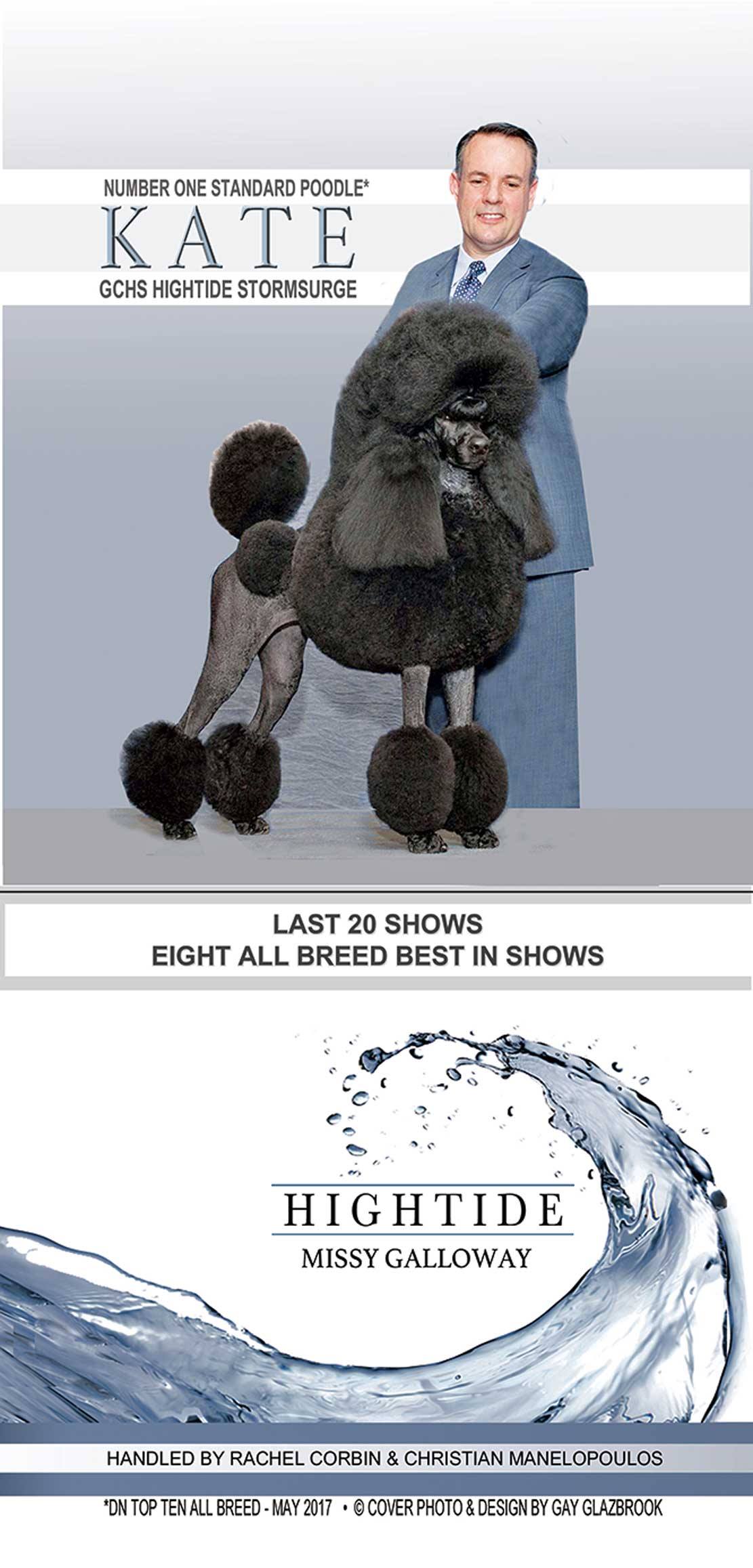 20116892_2331767170380775_660465883772301121_o