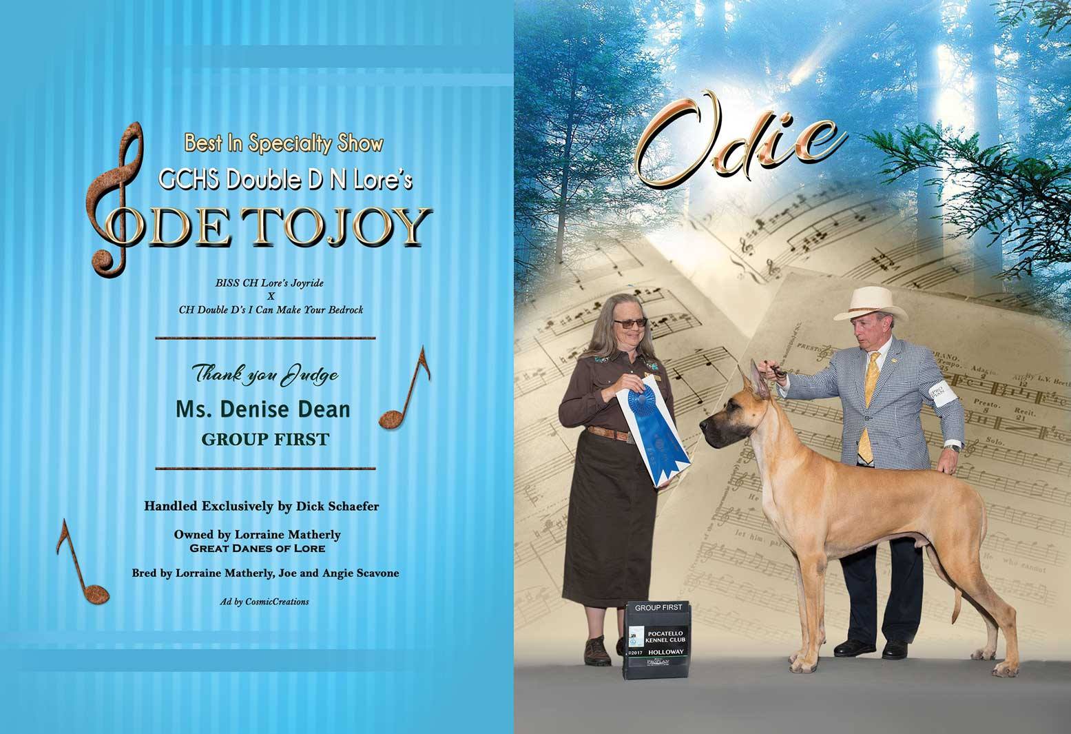 20117028_2332666816957477_5352952846103378308_o