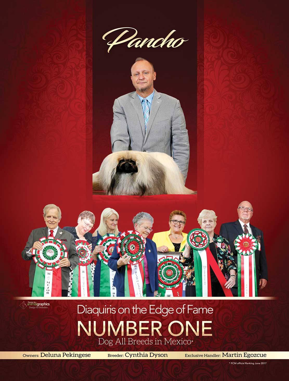 20229792_2334647840092708_1814333083993756295_o