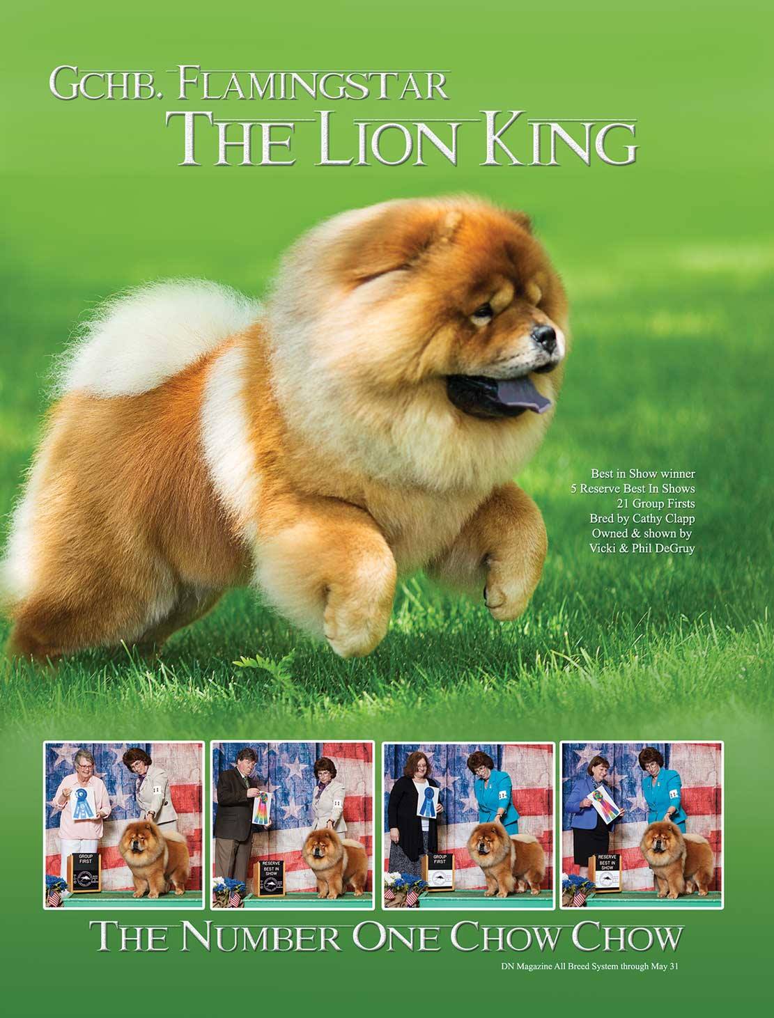 20232680_2334646700092822_7003272053093563439_o