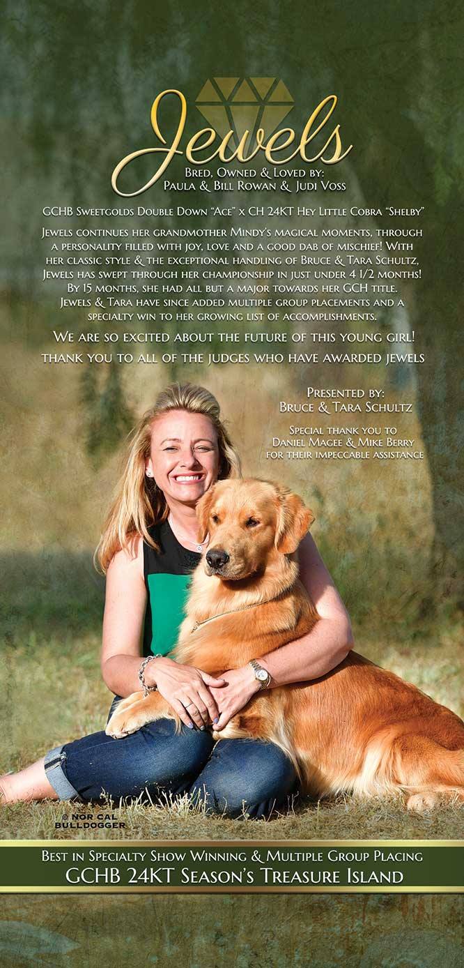 20233065_2337094156514743_5921056149958315839_o