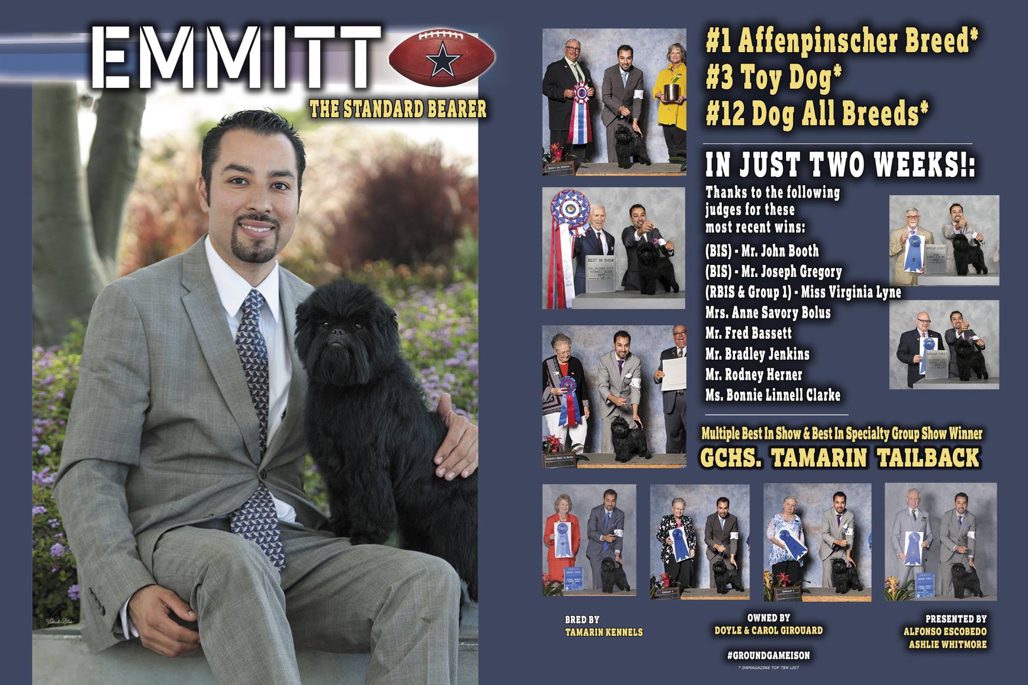 20247892_2334696840087808_2306184833869977068_o