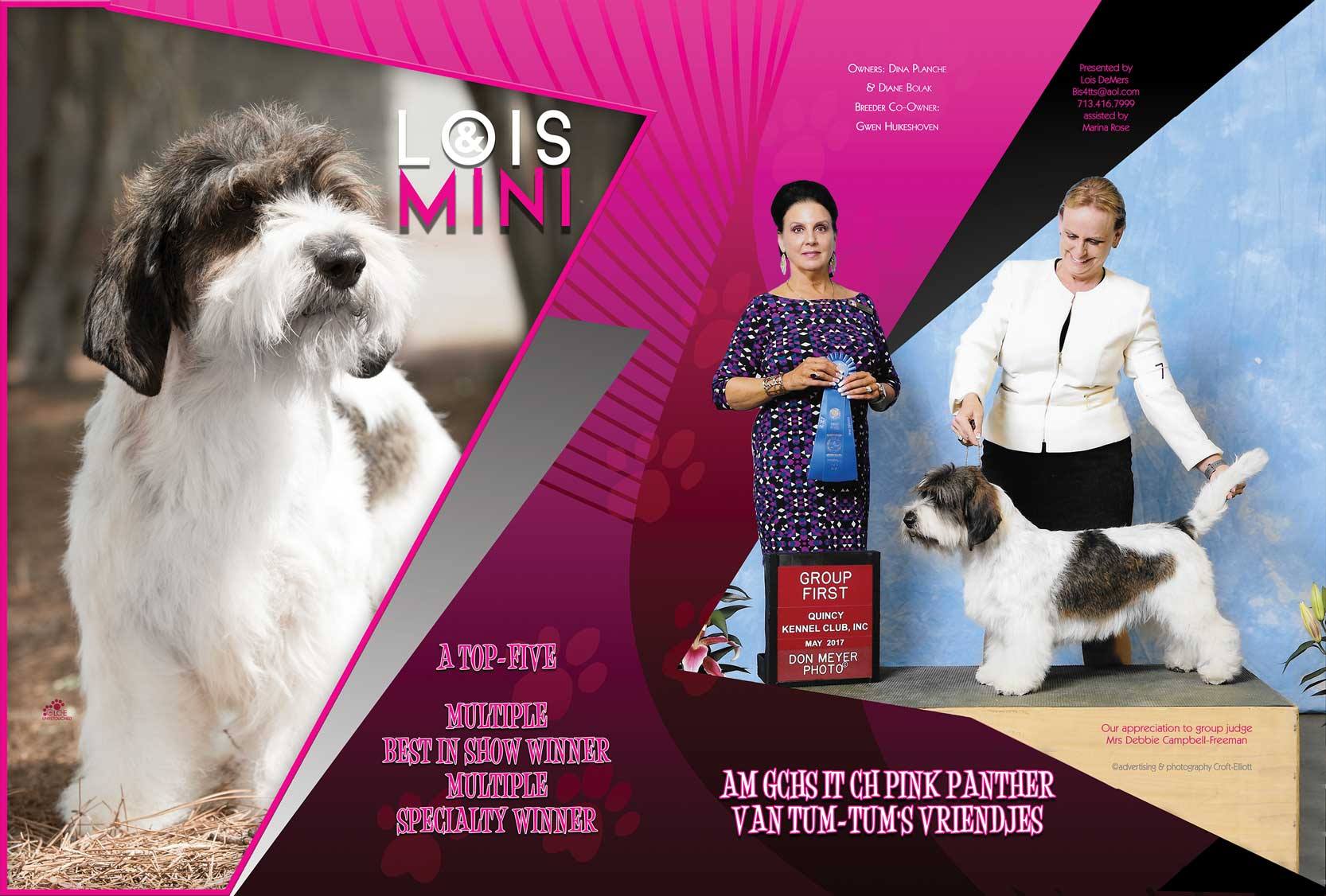 20280710_2340666422824183_3702381173284523160_o