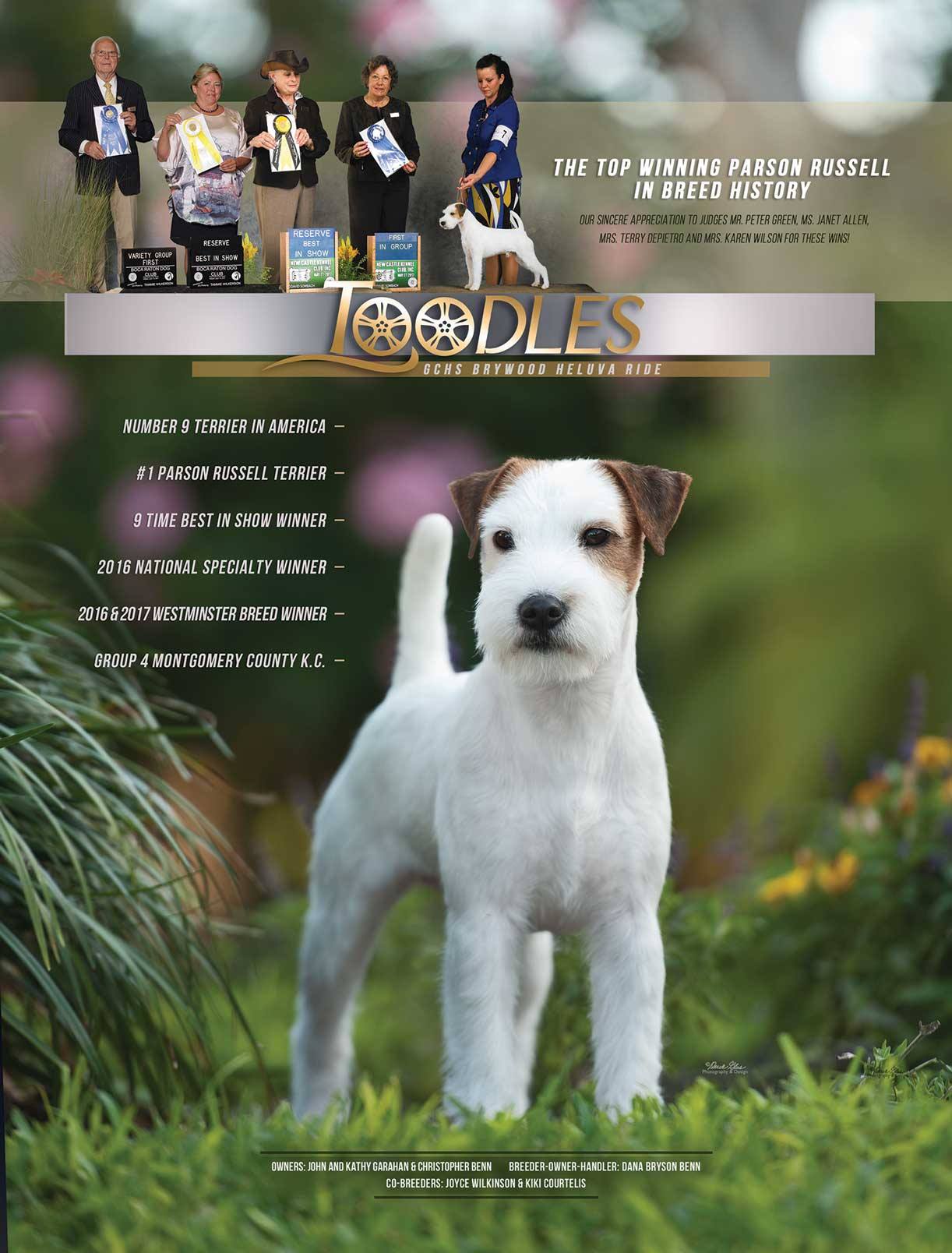 20423911_2340664739491018_4685643634556469269_o