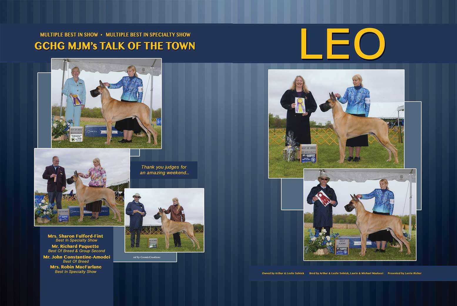 20424070_2340668852823940_1081400676509597631_o