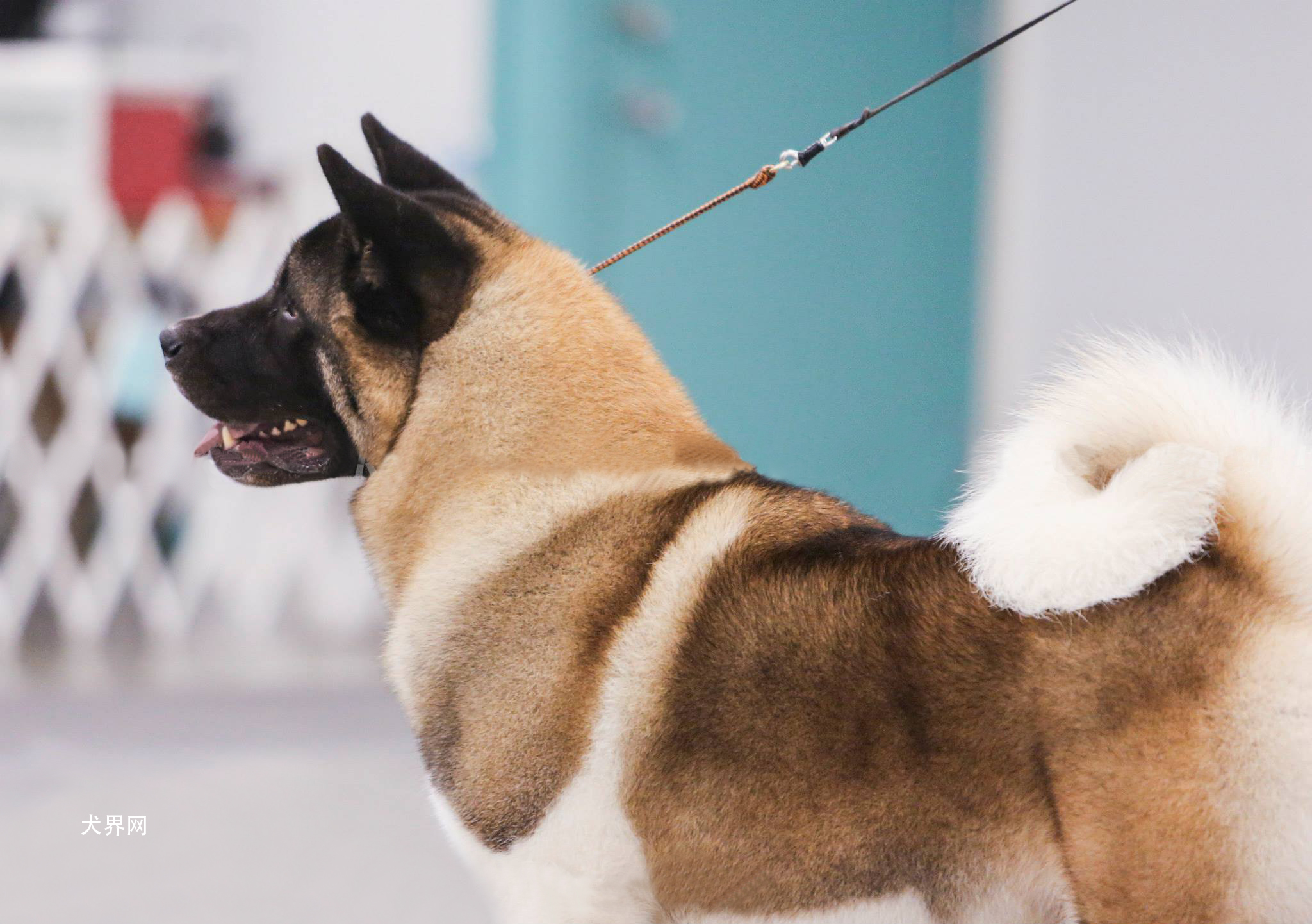 微信图片_20170804142806-1