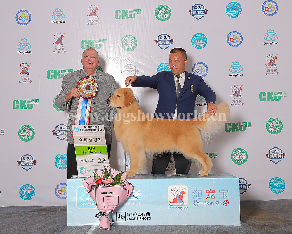 微信图片_20170811161708