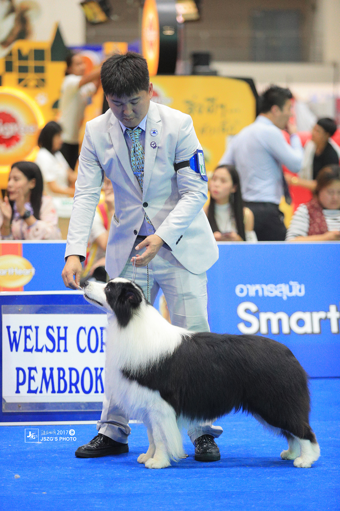 微信图片_20170820104805