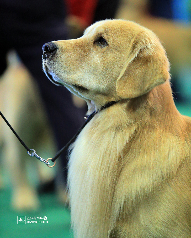 微信图片_20170820114037