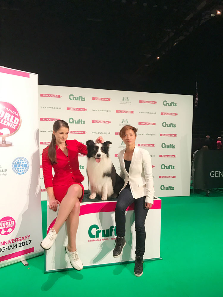 微信图片_20170820145534