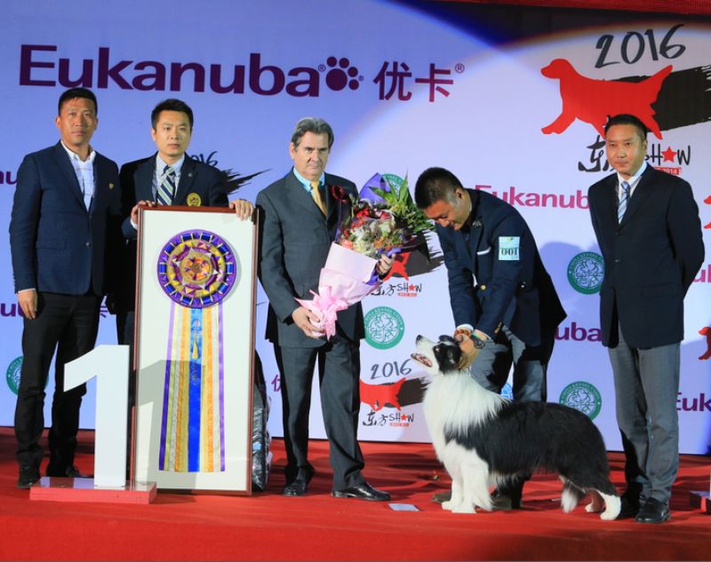 微信图片_20170820145548