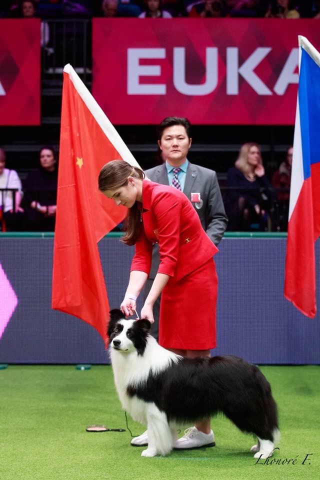 微信图片_20170820145605