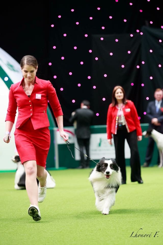 微信图片_20170820145611