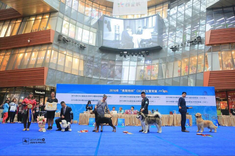 微信图片_20170820175913