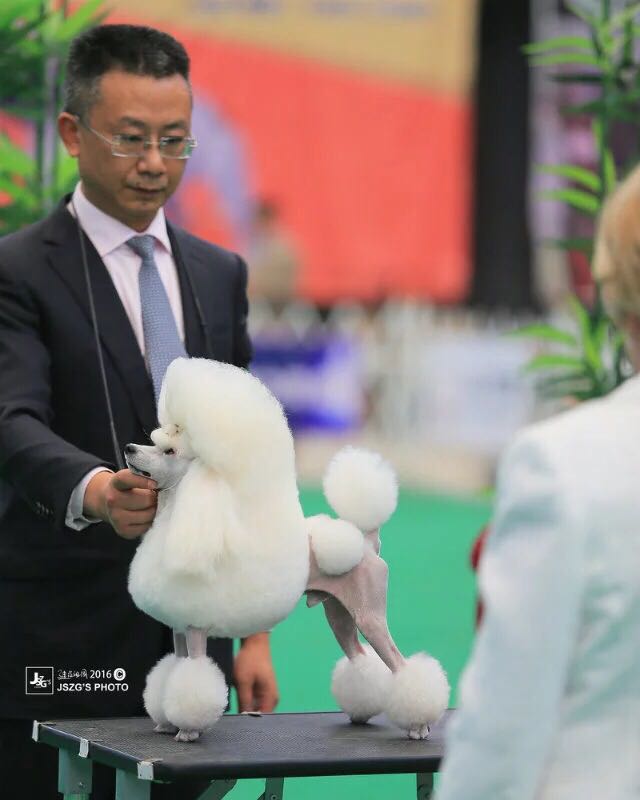 微信图片_20170820175949