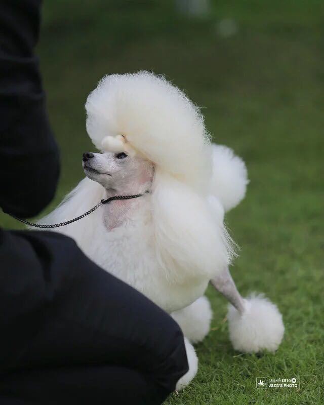 微信图片_20170820181559