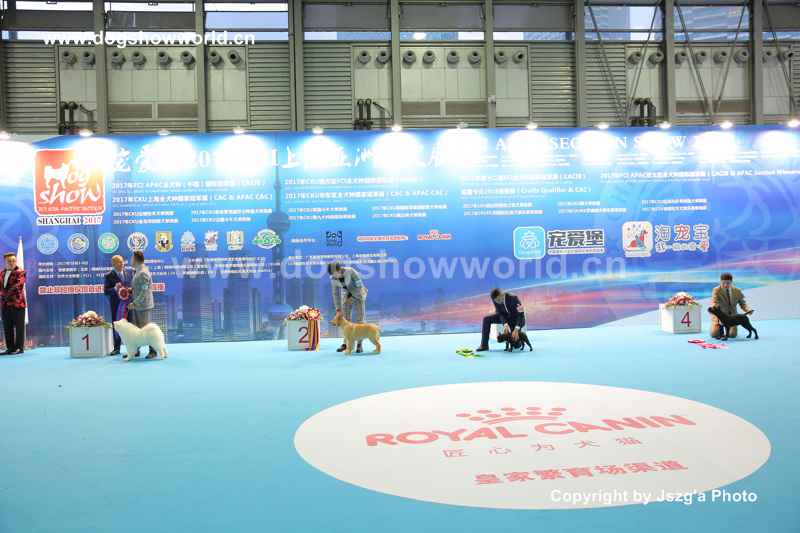 微信图片_20171004023501AAA