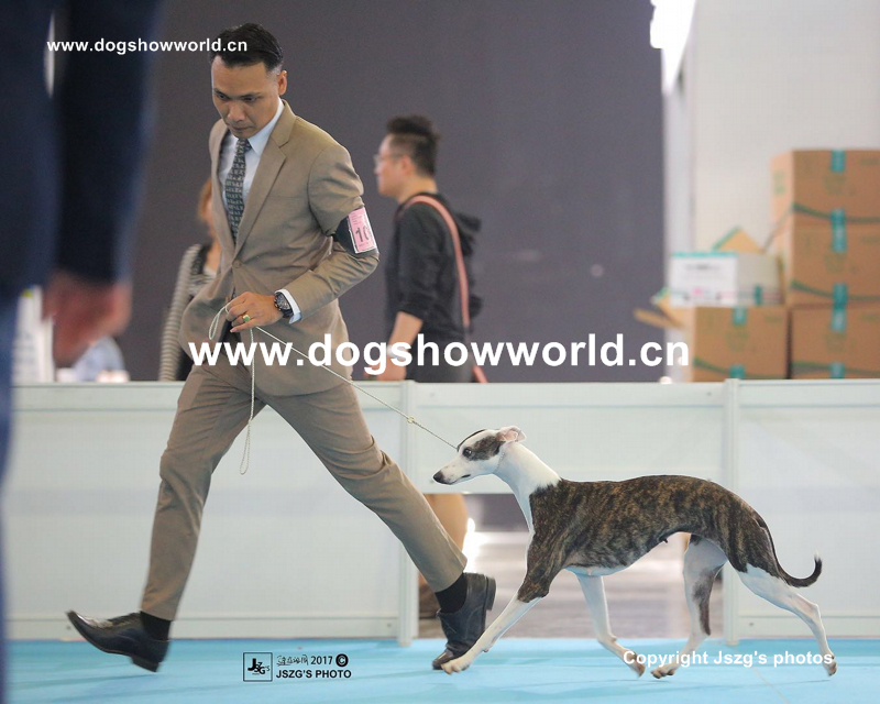 微信图片_20171009171116AAA