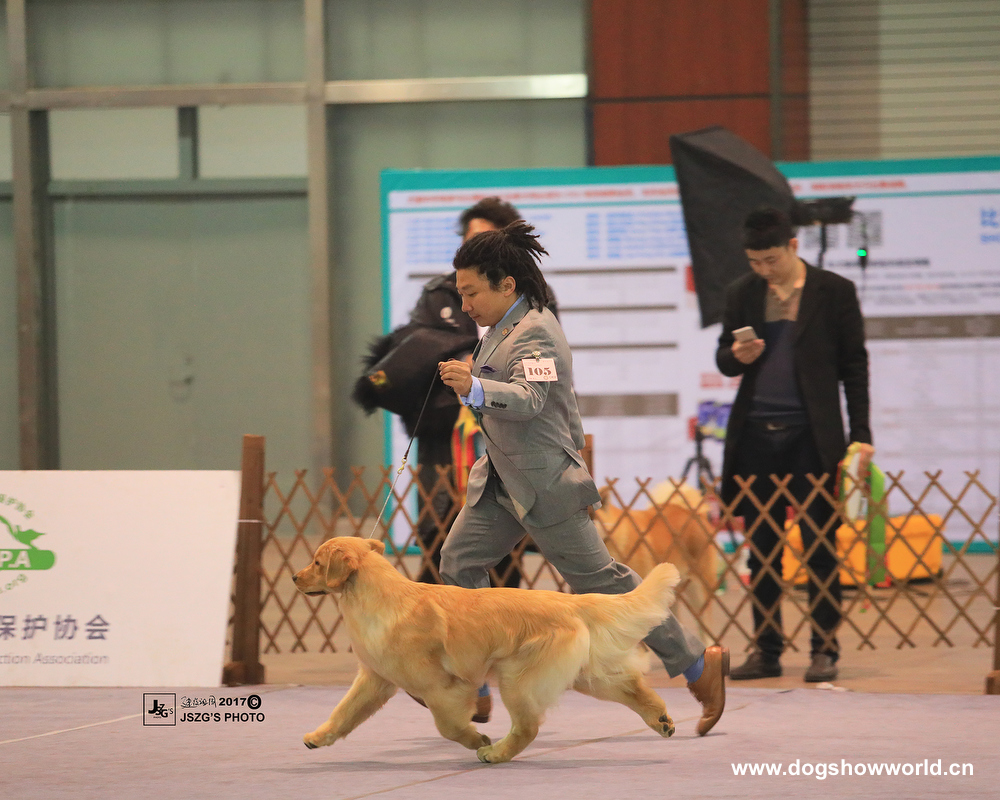 微信图片_20171026195143