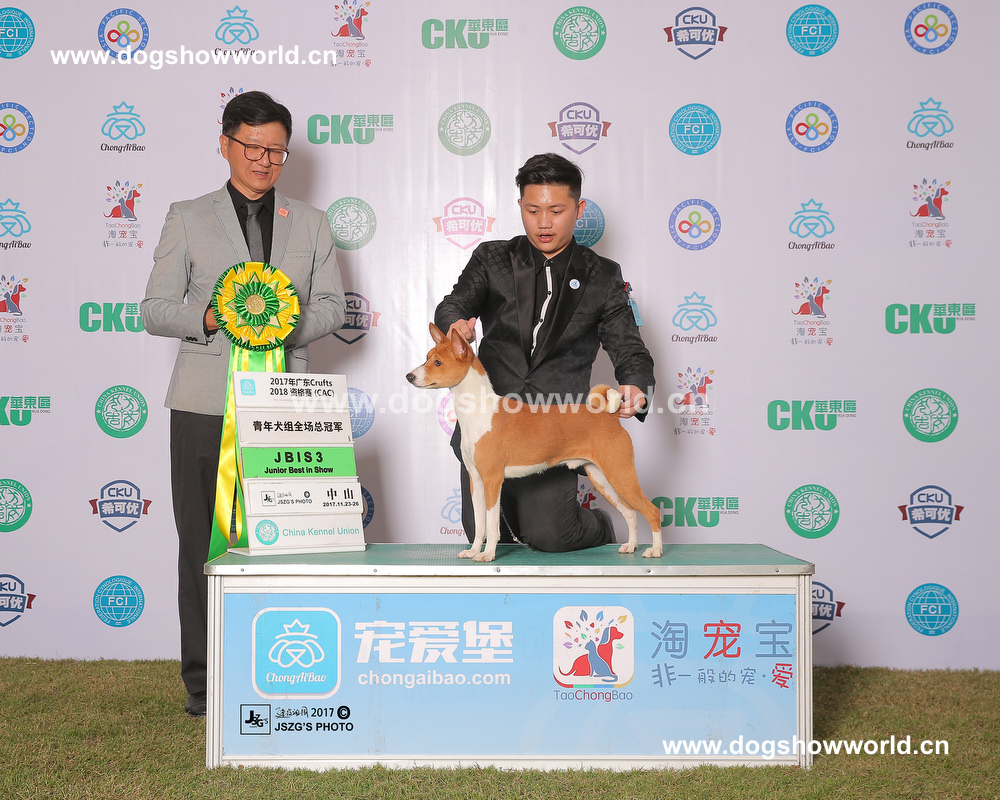 微信图片_20171129155702