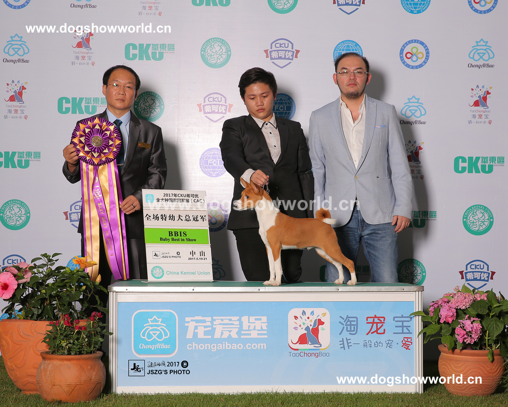 微信图片_20171129155716