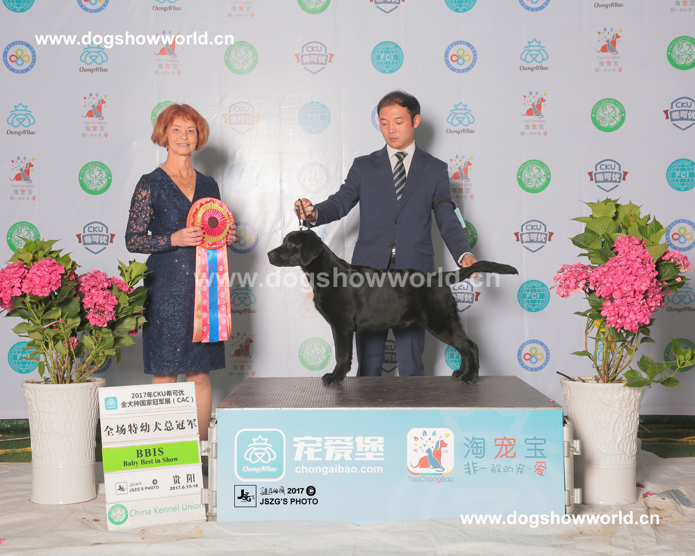 微信图片_20171129161821